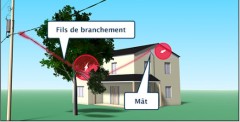 Un arbre est tombé sur un fil électrique